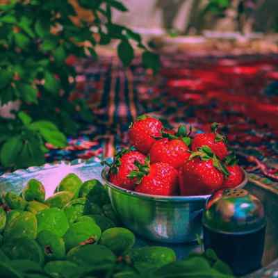 دانلود آهنگ شعله ور مثل اتیشم درگیر چشمای آبی شم Matin Noshad Shole Var Mesl Atisham دانلود آهنگ شعله ور مثل اتیشم درگیر چشمای آبی شم