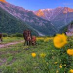 دانلود آهنگ مسلم فتاحی آروم آروم دانلود آهنگ مسلم فتاحی آروم آروم