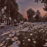 دانلود آهنگ نمون پای من آدم رویای تو نیستم