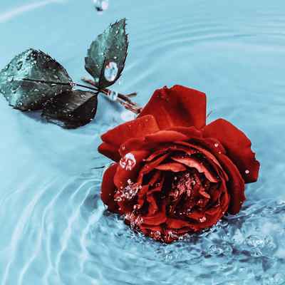 دانلود آهنگ یادت میاد مست بودی شب تو بغل من