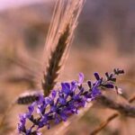 دانلود اهنگ گریه کن گریه قشنگه گریه سهم دل تنگه