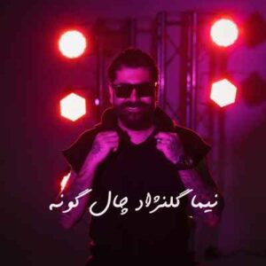 دانلود آهنگ نیما گلنژاد چال گونه