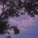 دانلود اهنگ الان داغی نمیفهمی چی سرت اومده