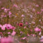 دانلود اهنگ میخونم شعر و آواز به یاد چیشا تو