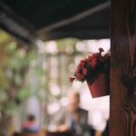 دانلود اهنگ من تی طالب مه تو می زهره ای تاج سری دانلود اهنگ من تی طالب مه تو می زهره ای تاج سری