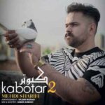 دانلود اهنگ مهدی شریفی کبوتر 2