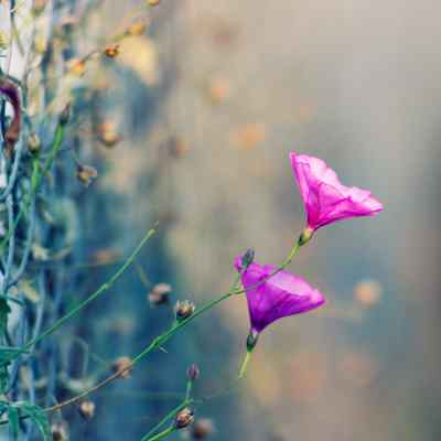 دانلود اهنگ من هرکاری کردم برای تو بود دانلود اهنگ من هرکاری کردم برای تو بود