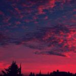 دانلود اهنگ محسن چاوشی ببار چشم من ببین چه سیرم ازت