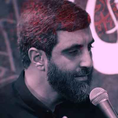 Syed Reza Narimani Bigharare Karbala دانلود نوحه بی قرار کربلا اونه که پناهی جز خودت نداره کربلا