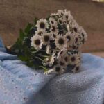 دانلود آهنگ عاشق منه دوست داره منو دانلود آهنگ عاشق منه دوست داره منو
