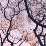 دانلود اهنگ از آدما متنفرم چون هیچکدوم پیشم نموندن دانلود اهنگ از آدما متنفرم چون هیچکدوم پیشم نموندن