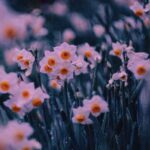 دانلود آهنگ باریکلا به اون قد بلندت باریکلا به اون زلف کمندت دانلود آهنگ باریکلا به اون قد بلندت باریکلا به اون زلف کمندت