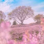دانلود اهنگ بزن بریم زیر گرمای خورشید تو که بد مارو کشتی