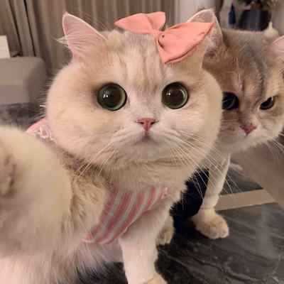 دانلود اهنگ چرا قفلی زدم روی تو چی داره چشم و ابروی تو