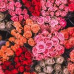 دانلود اهنگ خودت تکی سطح یکی برای قلبم شدی نیرو کمکی