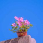 دانلود آهنگ تو قلب من نشستی قلب منو شکستی