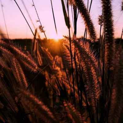 دانلود اهنگ یعقوب یعقوب کیه آژیرای مامور Ahange Yaghub Yaghub Kie دانلود اهنگ یعقوب یعقوب کیه آژیرای مامور
