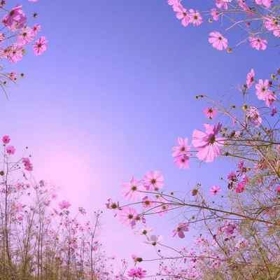 دانلود اهنگ عجب حال و هواییه انگار همین حوالیه