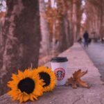 دانلود اهنگ ختمم بکه بچو مه گیان و بان یه دم
