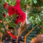 دانلود اهنگ آروم آروم پاورچین با پیرهن چین و واچین دانلود اهنگ آروم آروم پاورچین با پیرهن چین و واچین
