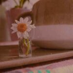 دانلود آهنگ چه دختر ناز و خوشگلی دارم من ماشالله