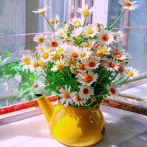 دانلود اهنگ حنا حنا یه ریز با اون چشات دل منو بردی
