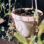دانلود اهنگ دیگه میخوام اسمتو تو گوشیم عوض کنم