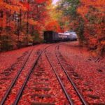 دانلود آهنگ دالکه دا نازارم ای فرشته آسمونی