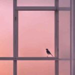 دانلود آهنگ آی منیم جوجه لریم دانلود آهنگ آی منیم جوجه لریم