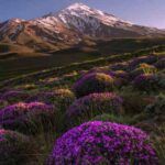 دانلود اهنگ من اگر یکبار ببینم روی تو