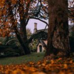 دانلود آهنگ پاتوق تنهاییام شونته ﺑﺮگ ﺑﺮﻧﺪم ﭼﺎل رو ﮔﻮﻧﺘﻪ دانلود آهنگ پاتوق تنهاییام شونته ﺑﺮگ ﺑﺮﻧﺪم ﭼﺎل رو ﮔﻮﻧﺘﻪ