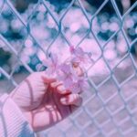 دانلود آهنگ امشب تموم عاشقا با ما میخونن یک صدا دانلود آهنگ امشب تموم عاشقا با ما میخونن یک صدا