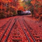 دانلود آهنگ حالا یارم بیا دلدارم بیا