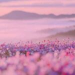 دانلود اهنگ پارسال بهار دسته جمعی رفته بودیم زیارت