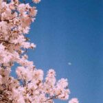 دانلود آهنگ ای خدایا عشق قشنگه یکی خوشبخت یکی بدبخته