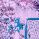 دانلود آهنگ امشو و یادت دواره دلم تنگه بی قراره دانلود آهنگ امشو و یادت دواره دلم تنگه بی قراره