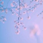 دانلود اهنگ عربی خمسه خمسه