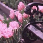 دانلود آهنگ حیف که خور ناره دلت