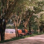 دانلود آهنگ نمیخوای منو بحثی نیست دانلود آهنگ نمیخوای منو بحثی نیست