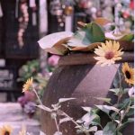 دانلود اهنگ ننه ننه یه پسری عاشق منه اسم پسره هوشنگه دانلود اهنگ ننه ننه یه پسری عاشق منه اسم پسره هوشنگه