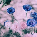 دانلود آهنگ گلمسین ابراهیم تاتلیس