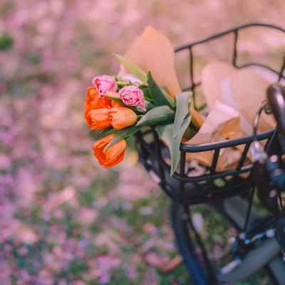 Innocent Kidmoyh دانلود آهنگ فانک بی گناه INNOCENT KidMoyh