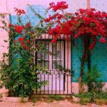 دانلود اهنگ باز آمد بوی ماه مهر مدرسه