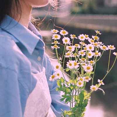 دانلود آهنگ خواهرشوهر شیرینه مثل لیموشیرینه