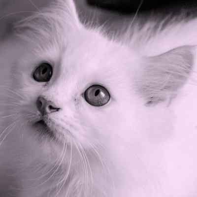 دانلود آهنگ با همه فرق داری برام نمیشه از فکر تو درام Ahange Ba Hame Fargh Dari Baram دانلود آهنگ با همه فرق داری برام نمیشه از فکر تو درام