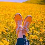 دانلود اهنگ چسی چسی چصی چصی دانلود اهنگ چسی چسی چصی چصی
