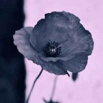 دانلود آهنگ دل که یه ویرونه بود بخت که وارونه بود دانلود آهنگ دل که یه ویرونه بود بخت که وارونه بود