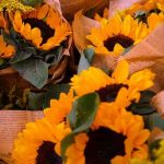 دانلود اهنگ من لنگ صدای قشنگتم باهام حرف بزن