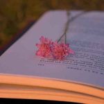 دانلود آهنگ قیزیل گول اویوم اویوم