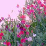 دانلود آهنگ بیا بریم به مزار ملا ممد جان